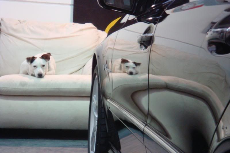 Matt Sealant Spray For Paint Work Matt Sealant Spray For Paint Work